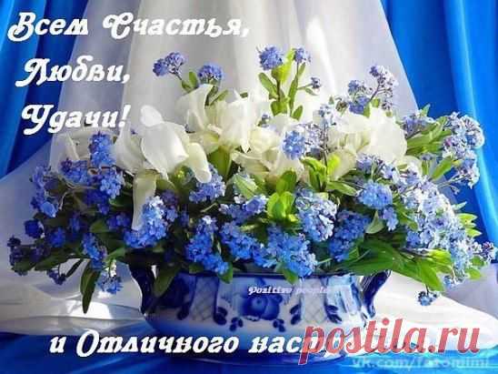 (8) Одноклассники