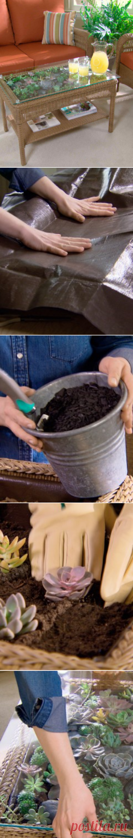 Transform a Table into a Terrarium &amp; Video | Martha Stewart