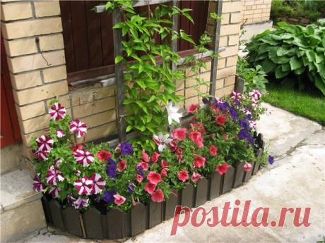 Самые оригинальные и красивые клумбы. Подбираем разные идеи для своей дачи или участка!. Комментарии