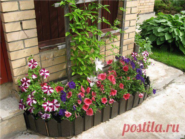 Самые оригинальные и красивые клумбы. Подбираем разные идеи для своей дачи или участка!. Комментарии