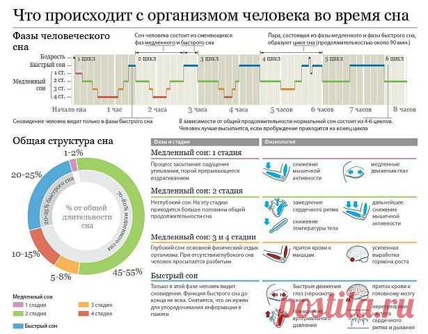 СОН