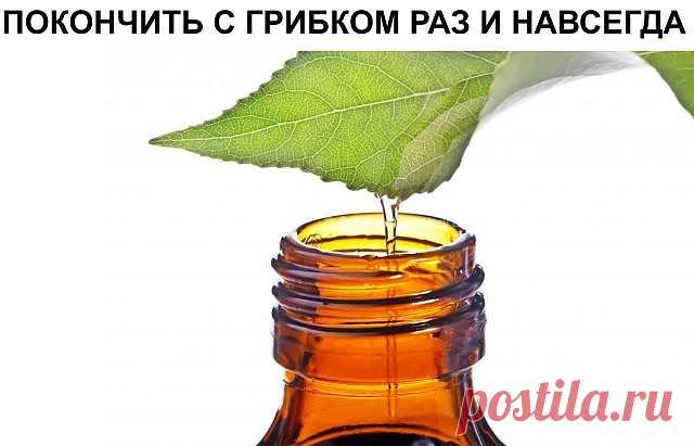 ПОКОНЧИТЬ С ГРИБКОМ РАЗ И НАВСЕГДА ПОМОГУТ 1. Толокнянка и чистотел 50-60 г чистотела необходимо залить кипятком (1,5 литра). Настой должен немного остыть, после чего в него добавляется 3-процентная перекись водорода. Достаточно будет 50 мл. Далее ногу распаривают, а к пораженному ногтю необходимо приложить лист толокнянки, разрезанный вдоль.  Для закрепления результата настой чистотела рекомендуется употреблять и внутрь. Для этого трава чистотела заливается 1 стаканом кипятка и настаивается