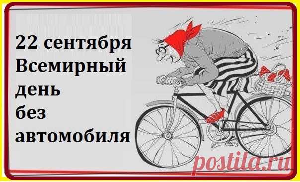 Поздравляю с Днём без автомобиля! Пусть он станет поводом открыть новые маршруты для прогулок, услышать пение птиц и почувствовать дыхание свежего ветра.