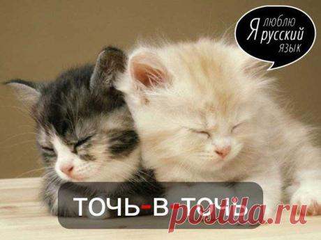 Стена