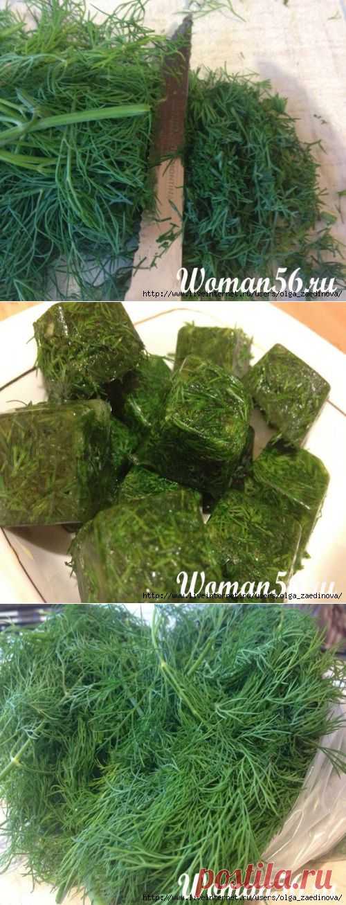 Заготовка укропа на зиму разными способами.