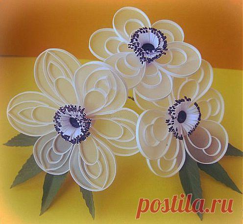 Как сделать нежные и воздушные анемоны