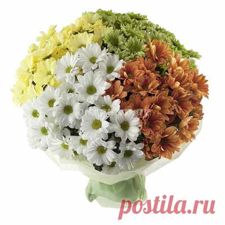 Как сочетать хризантемы в одном букете