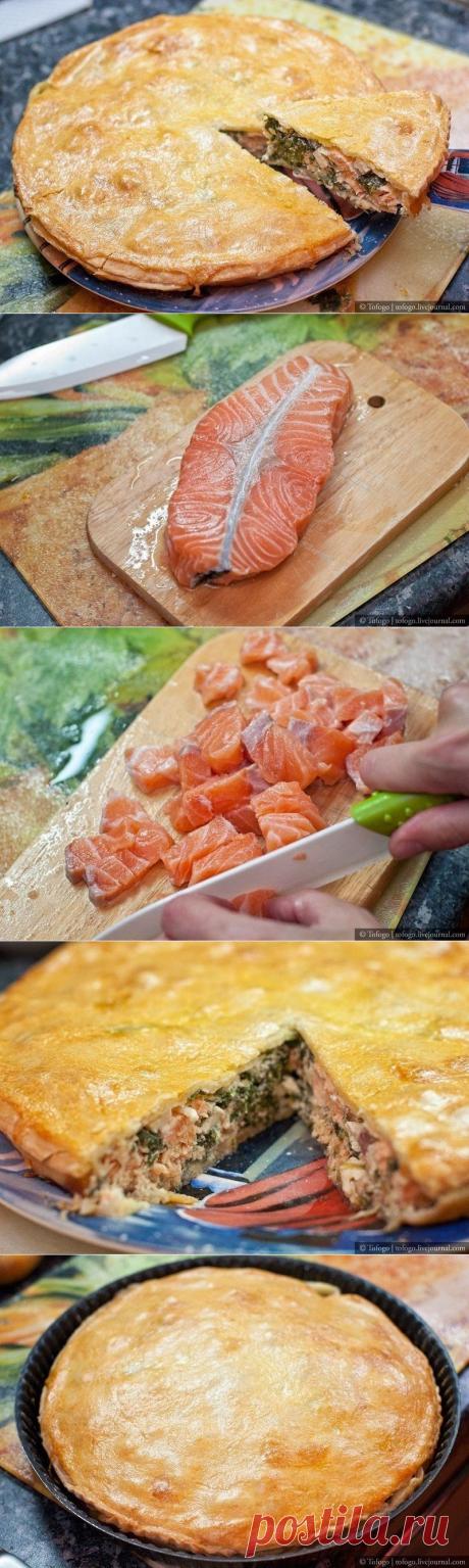Как приготовить пирог с семгой, брынзой и шпинатом - рецепт, ингридиенты и фотографии