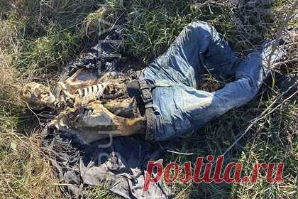 В Ингушетии найдены останки вора в законе Хамзата Аушева. В Ингушетии обнаружили скелетированное тело, которое могло принадлежать 31-летнему вору в законе Хамзату Аушеву, известному в криминальных кругах как Хамзат Ингуш. Ключевая версия гибели Аушева — убийство из-за попытки обложить данью придерживающихся радикальных религиозных взглядов местных предпринимателей.