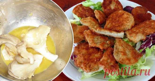 Вешенки вкуснее мяса: 4 грибных блюда, от которых у тебя потекут слюнки Новые рецепты!