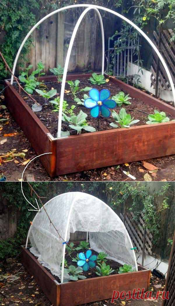 17 Simple Budget-Friendly Plans to Build a Greenhouse