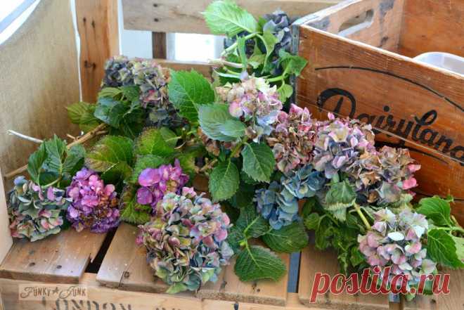 Мой секрет организации hydrangeasFunky нежелательной Interiors