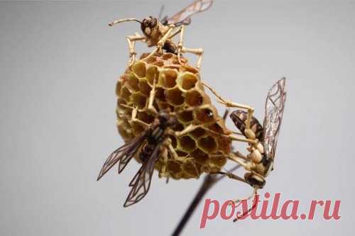 Удивительные скульптуры насекомых из бамбука от Нориюки Саито