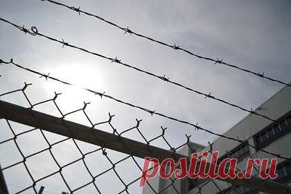 Женщина до смерти заморила голодом дочь-инвалида. Британка Элейн Кларк (Elaine Clarke) из города Блэкпула, Ланкашир призналась в убийстве 24-летней дочери-инвалида. Она заявила, что по неосторожности до смерти заморила голодом Дебби, страдающую синдромом Дауна. При вскрытии у девушки также обнаружили обширную инфекцию кожи, вызванную чесоткой.