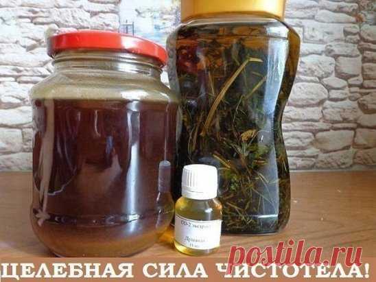Свою методику применения чистотела при лечении онкологических заболеваний разработал Анатолий Потопальский. Им в 1959 году  был создан противоопухолевый, противовирусный и антимикробный препарат из чистотела «Амитозин».
Улучшив биологически активные молекулы чистотела, учёные добились, что «Амитозин» останавливает размножение злокачественных клеток. Проведённые клинические исследования показали х