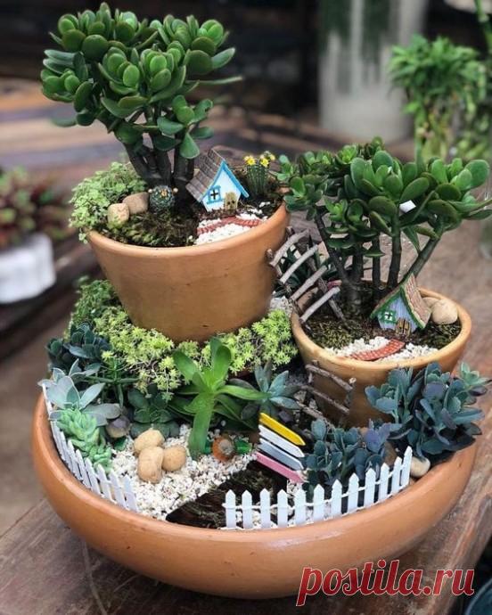 Изумительные композиции в цветочных горшках