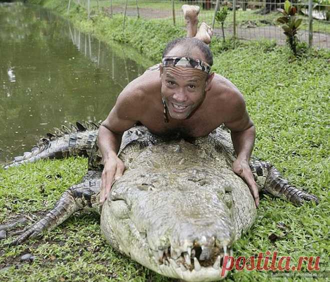 Не только управдом — друг человека (дружба с крокодилом) — Наука и жизнь