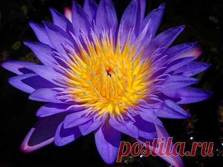 Редактировать описание