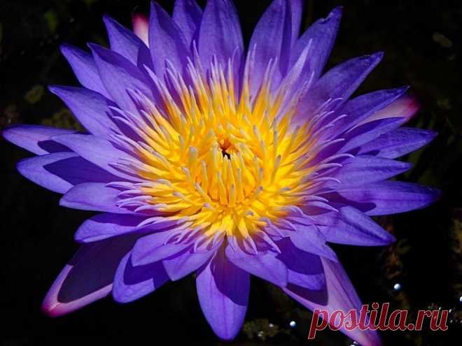 Редактировать описание