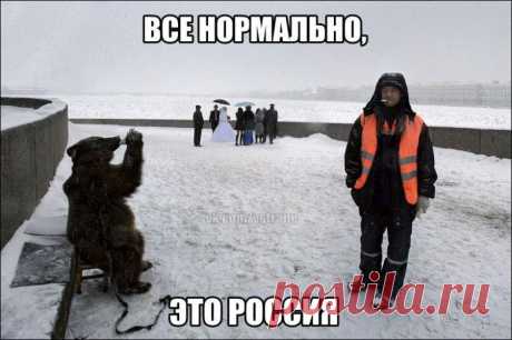 Это Россия, детка! / Писец - приколы интернета