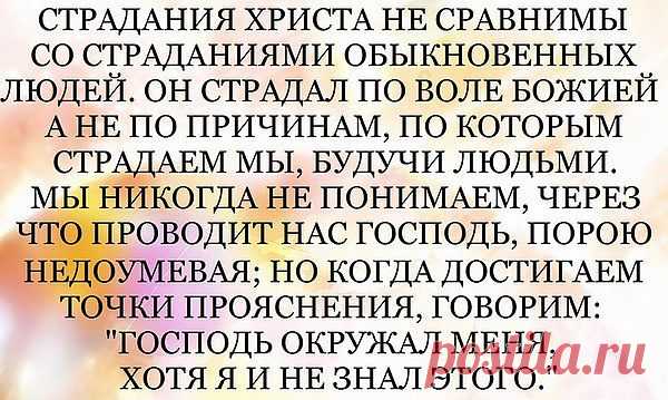 4	Не проси у Господа власти, и у царя - почетного места. 
5	Не оправдывай себя пред Господом, и не мудрствуй пред царем. 
(кн.Сирах.7:..)
