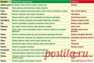 Мои закладки