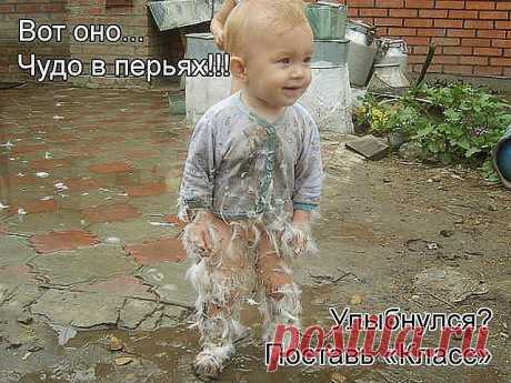 Душат кредиты? Хочешь новый телевизор? Хочешь новый телефон?А может высоко классовый отдых на море? Или дорогую новую шубу? ....А через 3 года новую квартиру? Нужны деньги????? Я предлагаю их зарабатывать !!!! Только для тех кому деньги действительно нужны!!!!Все подробности по ссылке https://swechckareffs.blogspot.com/