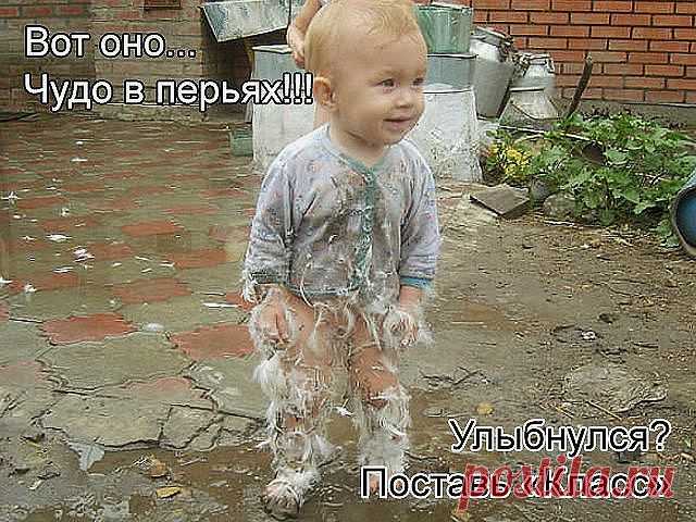 Душат кредиты? Хочешь новый телевизор? Хочешь новый телефон?А может высоко классовый отдых на море? Или дорогую новую шубу? ....А через 3 года новую квартиру? Нужны деньги????? Я предлагаю их зарабатывать !!!! Только для тех кому деньги действительно нужны!!!!Все подробности по ссылке http://swechckareffs.blogspot.com/