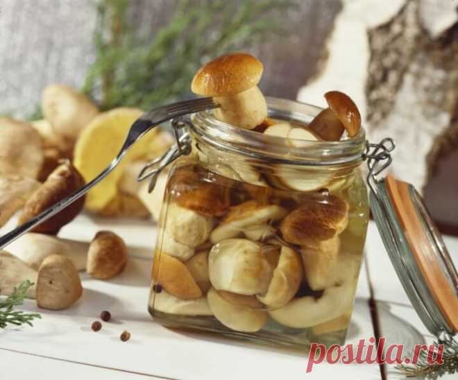 Способы засолки грибов — Делимся советами