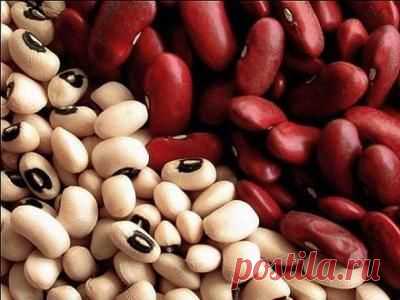 Фасоль – самый сбалансированный продукт