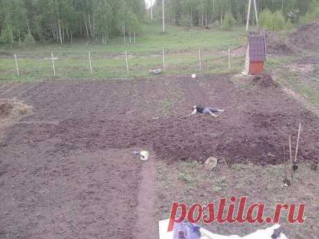 Ах, дача-дачечка, с навозом тачечка, 
И хондроз, и геморрой, но зато огурчик свой!))))