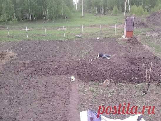 Ах, дача-дачечка, с навозом тачечка, 
И хондроз, и геморрой, но зато огурчик свой!))))