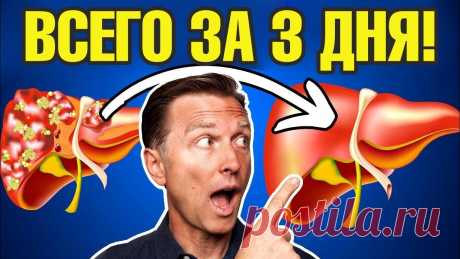 Детокс печени ЗА 3 ДНЯ! Самое эффективное очищение печени🔥 Курс ПЕЧЕНОЧНЫЙ тип телосложения 👉 https://link.drberg.ru/aqПройти ТЕСТ на ТИП ТЕЛОСЛОЖЕНИЯ ⚖️👉 https://link.drberg.ru/9Поговорим про детокс печени. Самое ...