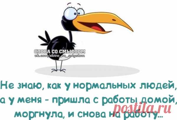 Позитивные фразочки в картинках (25 фразок) » RadioNetPlus.ru развлекательный портал