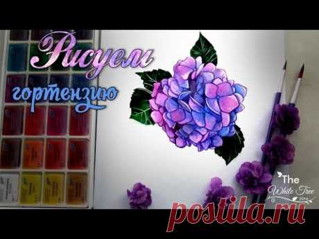 Здравствуйте, друзья! Давно я не брала кисти и акварель в руки, а тут еще и настроение было хорошее! Захотелось мне нарисовать гортензию. Это не самая моя лу...