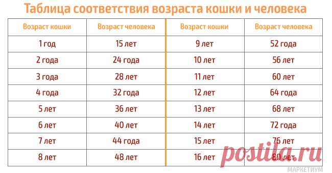 Таблицы соответствия возрастов собак, кошек и людей