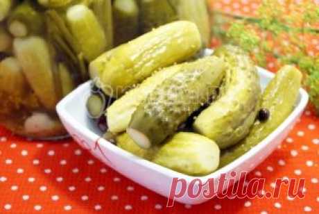 Маринованные огурцы с горчицей «Пальчики оближешь» – Пошаговый рецепт с фото. Заготовки. Вкусные рецепты с фото. Маринование
