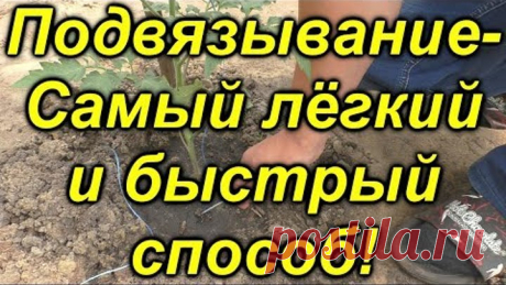 Самый классный (!!!!!) способ подвязывания растений в теплице!