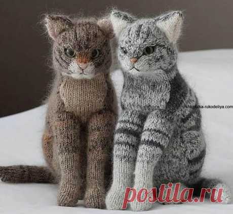 Вязаный кот спицами