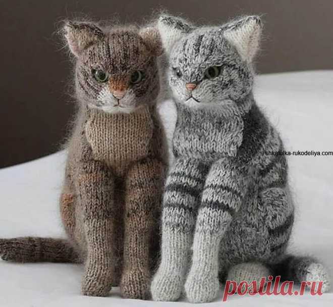Вязаный кот спицами