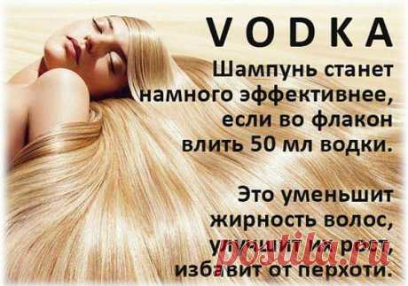 ВОДКА И ТРИНАДЦАТЬ СПОСОБОВ ЕЕ НЕОБЫЧНОГО ПРИМЕНЕНИЯ