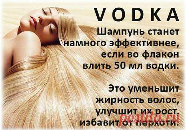 ВОДКА И ТРИНАДЦАТЬ СПОСОБОВ ЕЕ НЕОБЫЧНОГО ПРИМЕНЕНИЯ
