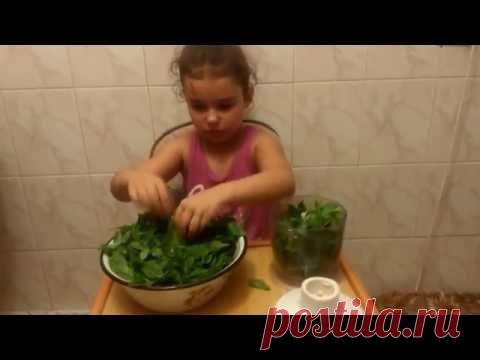 Мятный сахар на зиму