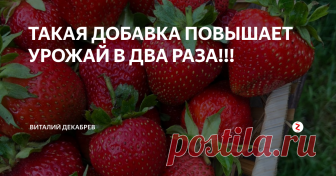 ТАКАЯ ДОБАВКА ПОВЫШАЕТ УРОЖАЙ В ДВА РАЗА!!! Как повысить плодородие почвы? Этим вопросом задаются многие дачники. Я...
