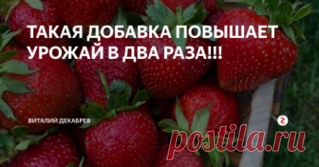ТАКАЯ ДОБАВКА ПОВЫШАЕТ УРОЖАЙ В ДВА РАЗА!!! Как повысить плодородие почвы? Этим вопросом задаются многие дачники. Я...