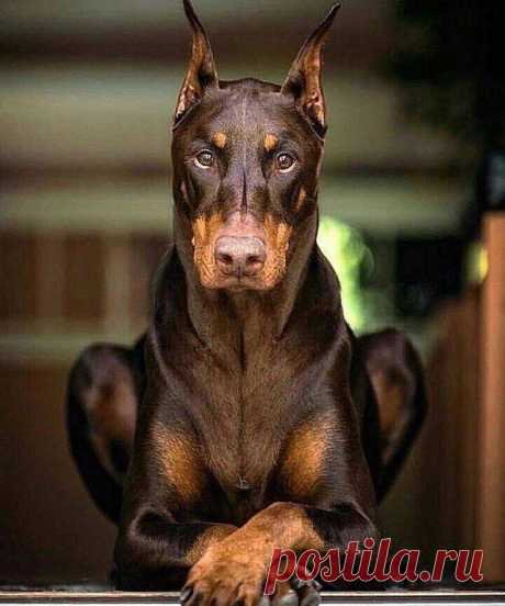 (20) Facebook
