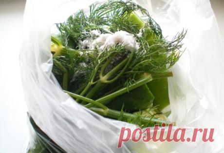 Как сделать малосольные огурцы быстро и вкусно