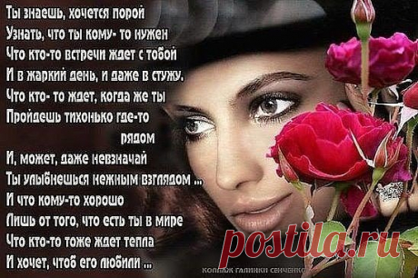 #СтатусыЦитатыАфоризмы