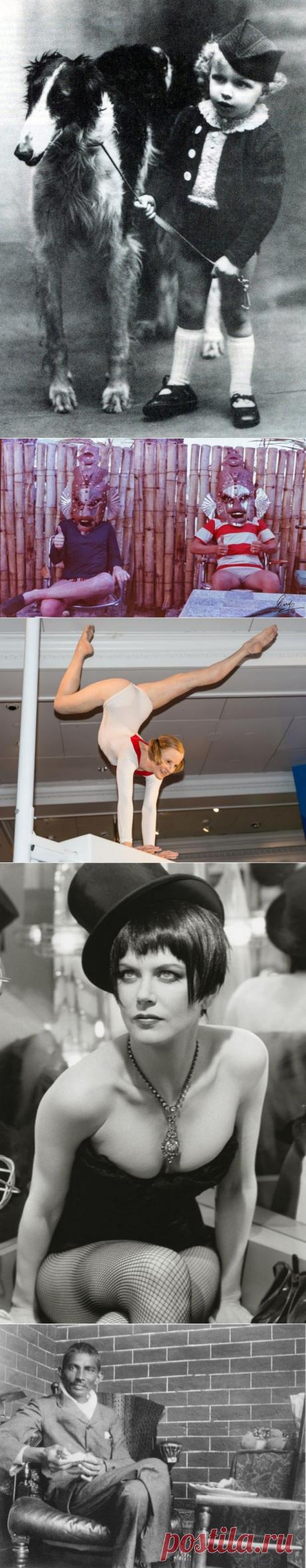 Приватные фото знаменитостей ХХ века — Болтай