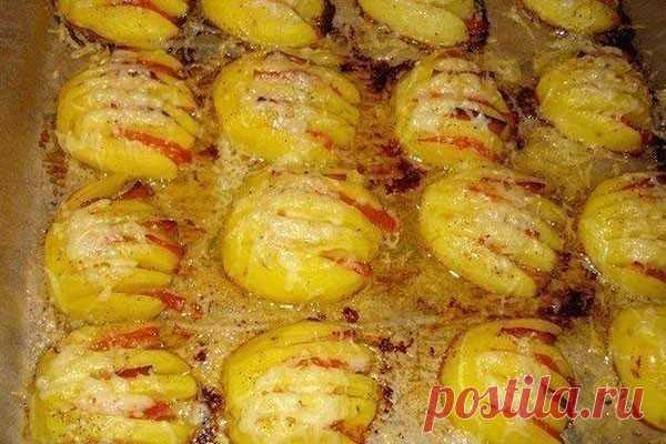 Картофельные ракушки — Женская страничка